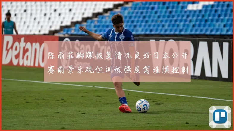 陈雨菲脚踝恢复情况良好日本公开赛前景乐观但训练强度需谨慎控制